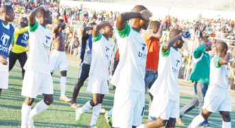 Mafco, Ekwendeni win TNM Super League promotion