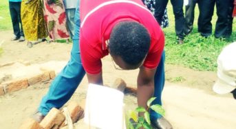 DC calls for active participation in tree planting