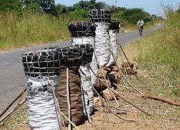 Five fined for trafficking, possessing Charcoal without permit in Dowa