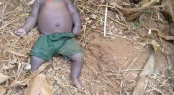 Baby Found dead in maize garden in Dedza