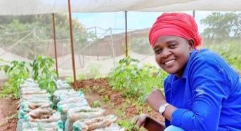 Rose Chisowa shines with her Rose farms