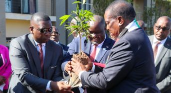 Mnangagwa in historic environment conservation in Malawi as he plant a tree at Parliament