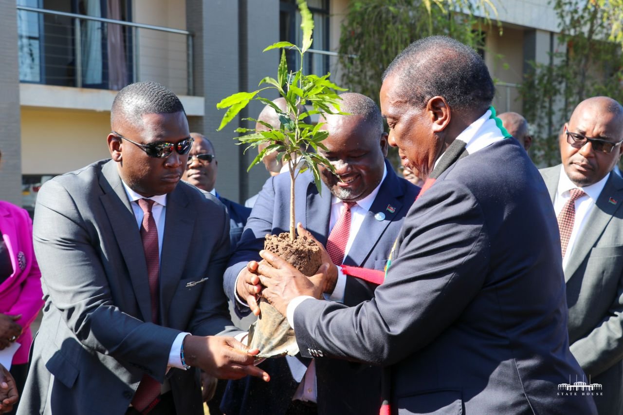 Mnangagwa in historic environment conservation in Malawi as he plant a ...