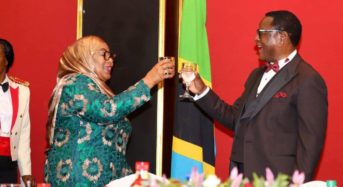 Tanzania, Malawi commit to double efforts in the fight against crossboarder crimes