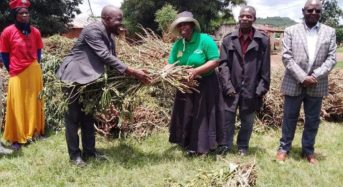 Dedza MP Savel Kafwafwa explores farming interventions for food security