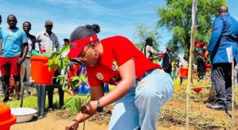 Government urges collaborative efforts in tree management