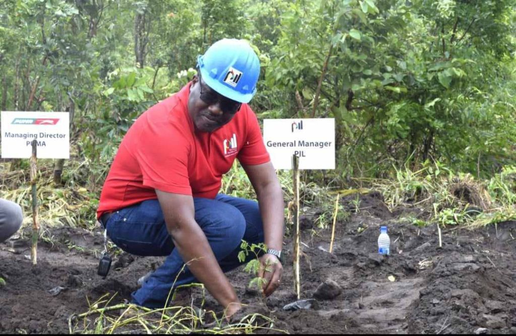 Petroleum Importers Limited (PIL), a consortium of four oil marketing companies namely TotalErnegies Malawi, Vivo Energy, Petroda, and Puma Energy, on Wednesday took time off from their offices to plant 6000 trees in Soche Mountain in Blantyre. 

