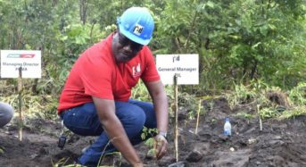 PIL plants 6000 trees in Soche Mountain