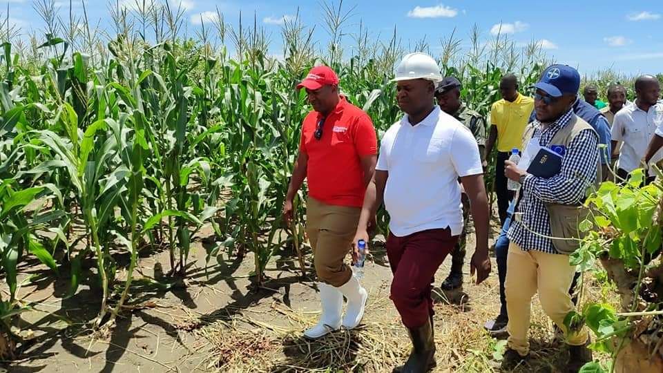 Minister of Agriculture Sam Kawale on Thursday disclosed that Government has allocated 100 billion Kwacha towards intensification of irrigation farming through mega farms as a way of ensuring that maize reserves remain sufficient throughout the year.

