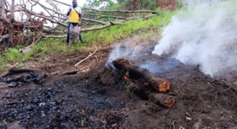 CEPA on the campaign against deforestation.