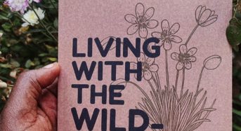 Poet Tendai Shaba set to release new poetry collection ‘Living with the Wildflowers’