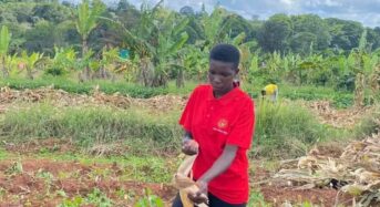 Malawian Students Advocate for Agricultural Innovation from China