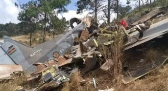 German Federal Bureau to release interim report on fatal plane crash involving former Malawian VP