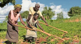 Doing business or farming in Malawi is more complicated