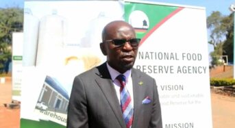 NFRA CEO calls for collaboration to boost maize procurement