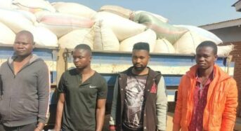 Maize Heist Foiled: Police Recover Stolen Grain, Arrest Four Suspects