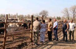 Chakwera Tours Issa Cattle Ranch