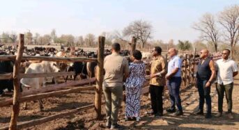 Chakwera Tours Issa Cattle Ranch