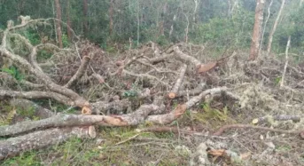 Nkhatabay District Council Blocks Sale of Kaning’ina Forest Reserve Land