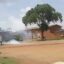 Tear gas disrupts demonstrations and halts classes at Lilongwe Primary School