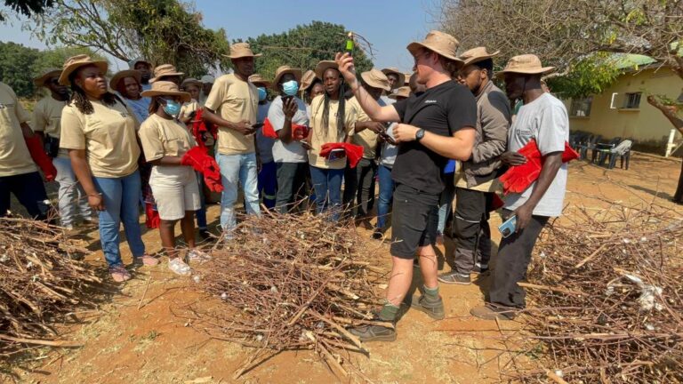 Solidaridad, Kvuno, and Planboo Partner to Promote Sustainable Agriculture in Zambia Through Biochar Technology