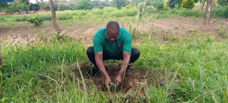 Zomba City Mayor leads tree-planting drive to restore city’s greenery